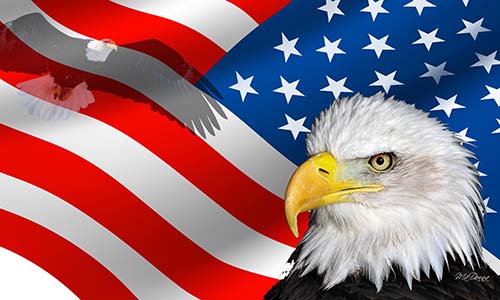 美國關(guān)稅低申報會提高查驗的幾率